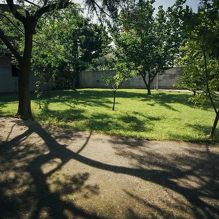 Appartement Dominik Bibinje