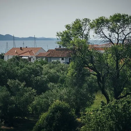 Apartament Dominik *